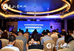 貴安新區(qū)引領貴州服務貿(mào)易創(chuàng)新發(fā)展 信息技術咨詢服務成關鍵引擎