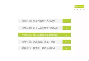 2019年中國教育信息化行業(yè)報告 信息技術咨詢服務的現(xiàn)狀與發(fā)展