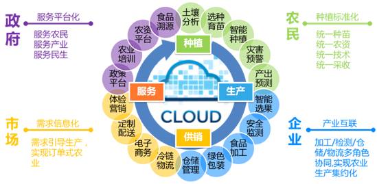 融合創(chuàng)新，智慧賦能 遠光移動互聯(lián)如何以信息技術咨詢服務驅動“互聯(lián)網(wǎng)+農(nóng)業(yè)”落地